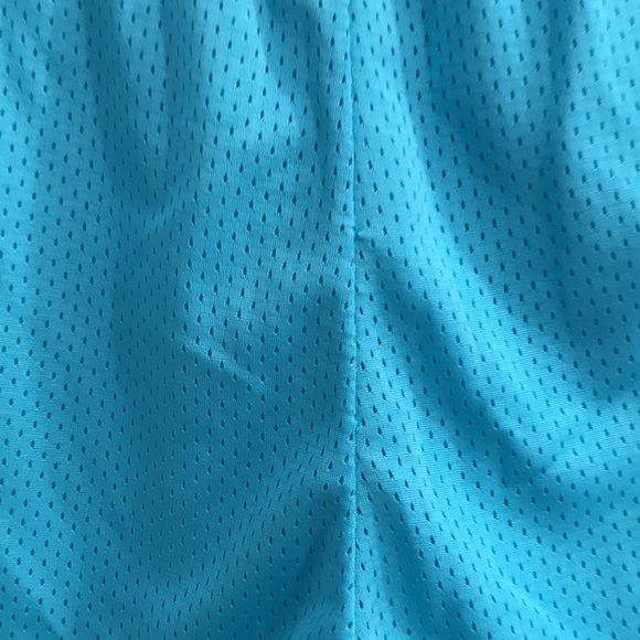 ⚡️FINAL PRICE⚡️ Champion Blue Shorts! - Picture 6 of 10